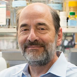 Dr. Michael Greenberg