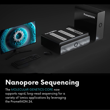 Nanopore Sequencing